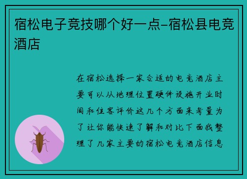 宿松电子竞技哪个好一点-宿松县电竞酒店